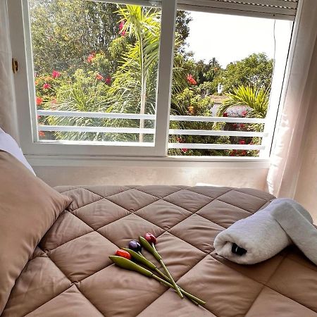 Studio De Charme Renove - Fibre- Centre Ραμπάτ Εξωτερικό φωτογραφία